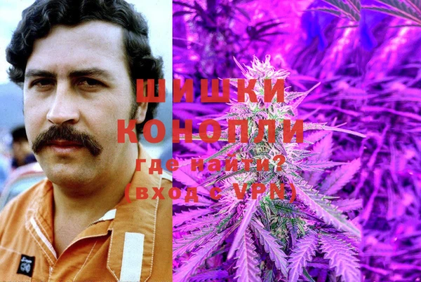 крисы Бронницы