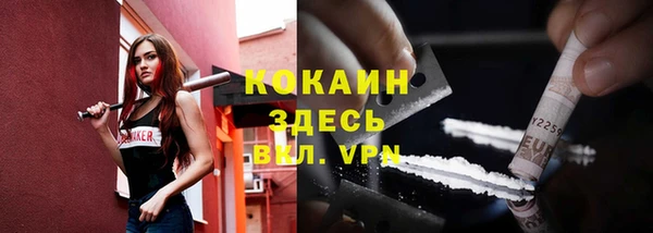 шишки Белоозёрский