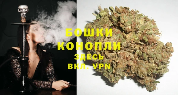 прущие грибы Бугульма