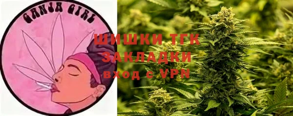 винт Бородино