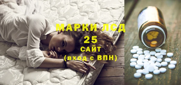 прущие грибы Бугульма