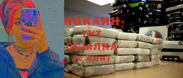 винт Бородино