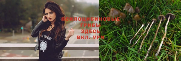 крисы Бронницы