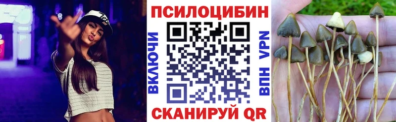 купить сайты Обь Галлюциногенные грибы прущие грибы