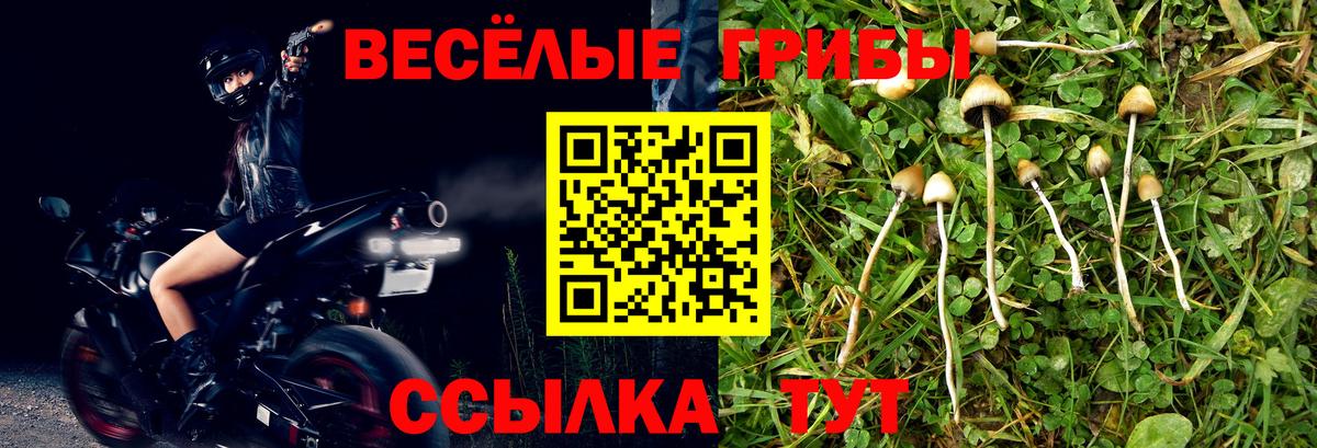 Псилоцибиновые грибы Magic Shrooms Обь
